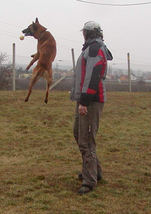 Kája,Kato5.JPG