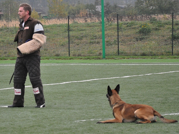 DSC_0519_01a.jpg