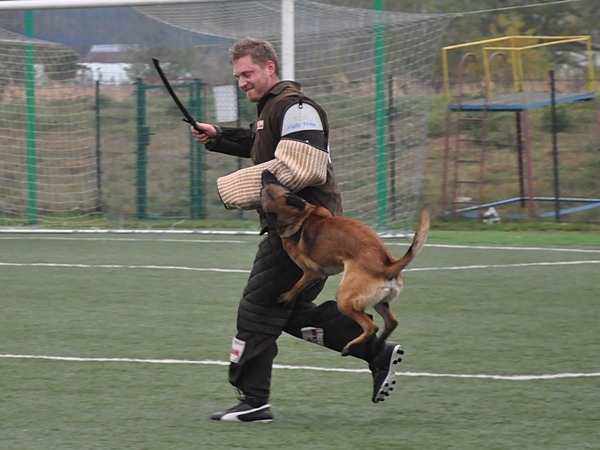 DSC_0521a.jpg