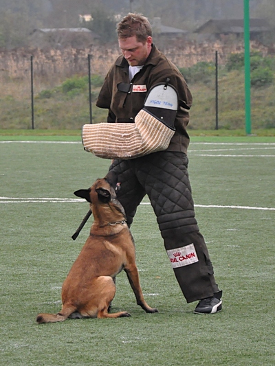 DSC_0533_01a.jpg