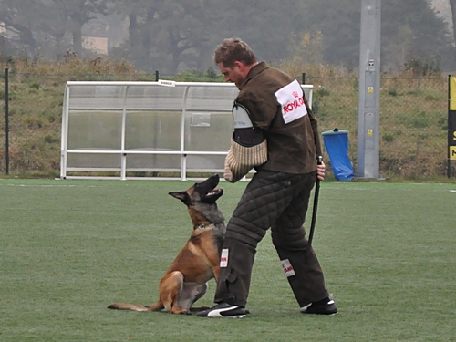 DSC_0549_01a.jpg