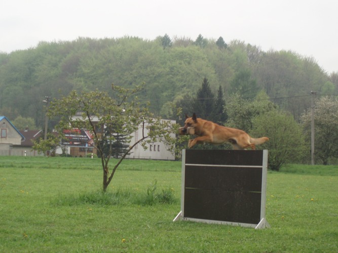zkoušky10.JPG