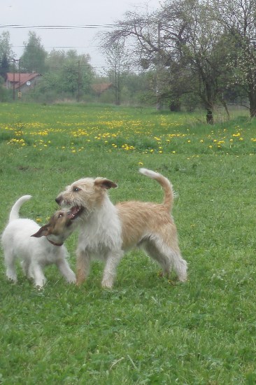 zkoušky12.JPG